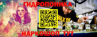шишки Пушкино
