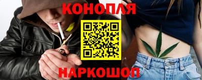 шишки Пушкино