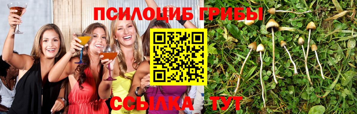 Псилоцибиновые грибы Psilocybe  Вход с VPN  Семёнов  Псилоцибиновые грибы ЛСД 